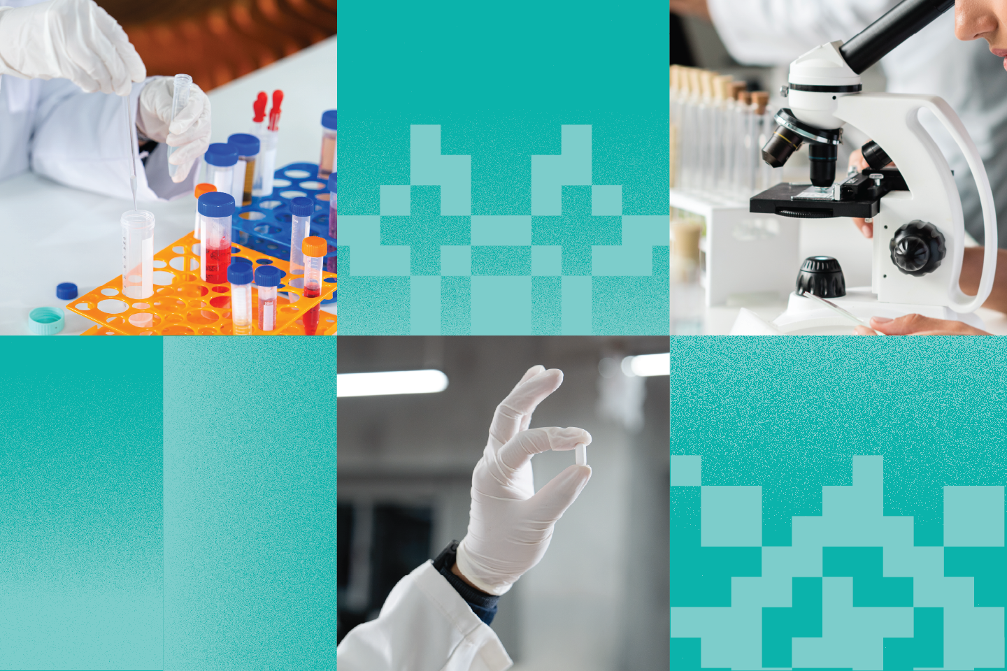 Kesempatan Jadi Doktor Peneliti! LPDP–BRIN Buka Beasiswa Doctor by Research